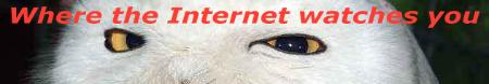 Internet Owl is Watching you!